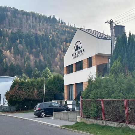 Plazowa Gray Apartament Szczyrk Esterno foto
